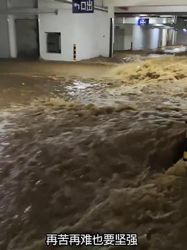 洪灾最新爆料,生死救援与家园重建纪实